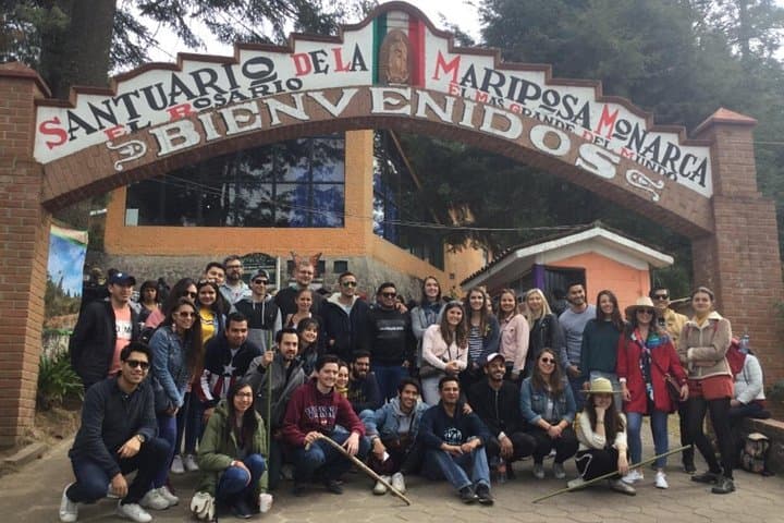 Monarch Butterfly Experience at the Monarch Butterfly Biosphere Reserve — Day Trip from Morelia photo 2
