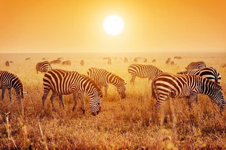 Three-Day Lodge Safari: Tarangire, Lake Manyara & Ngorongoro Crater photo 1