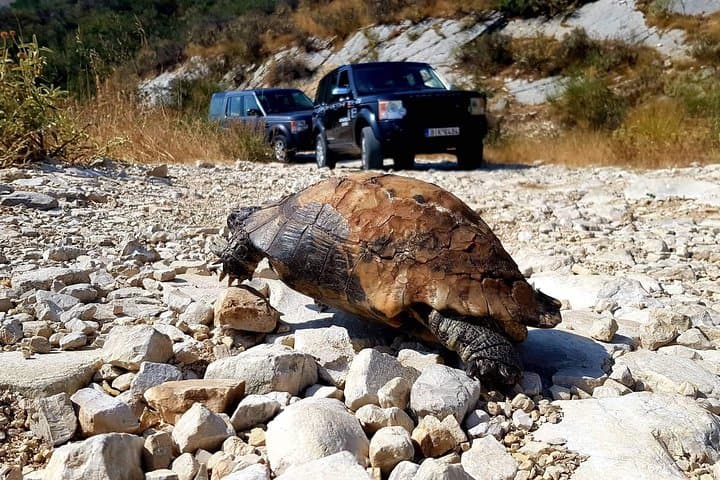 Off-Road to Corfu's Summit: Mount Pantokrator & Old Perithia Day Safari photo 5
