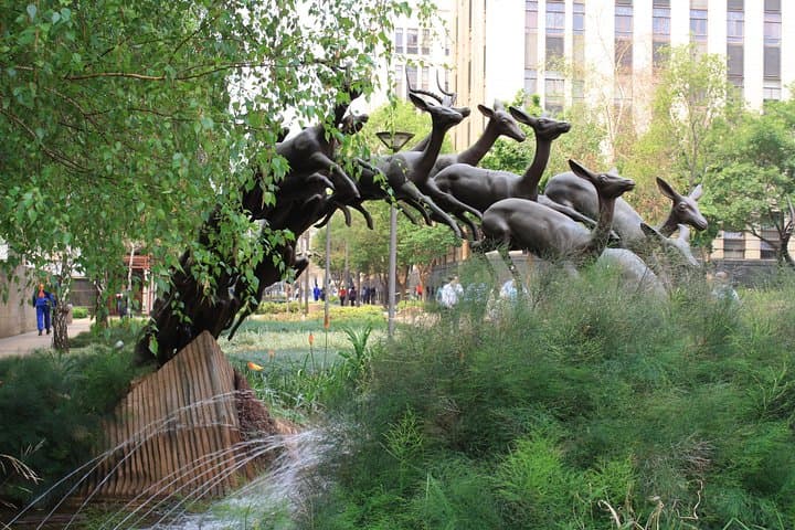 Understanding Johannesburg: Marshalltown Walking Tour with Charlie Moyo