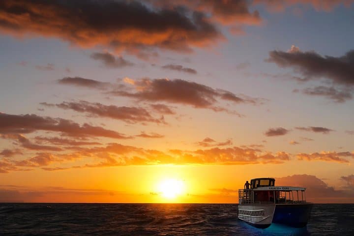 Experience the Thrill of Kauai’s Na Pali Coast on the ’Imiloa Express Sunset Catamaran