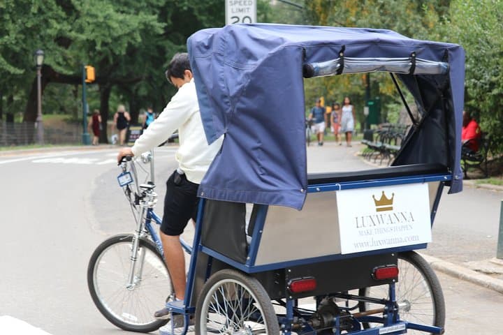 Central Park VIP Pedicab Tour — Private 2.5-Hour All-Park Experience