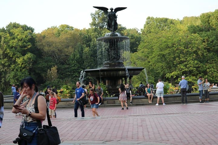 Central Park Happy Hour Pedicab Tour — 60-Min Scenic Ride with Guide & Stops photo 3