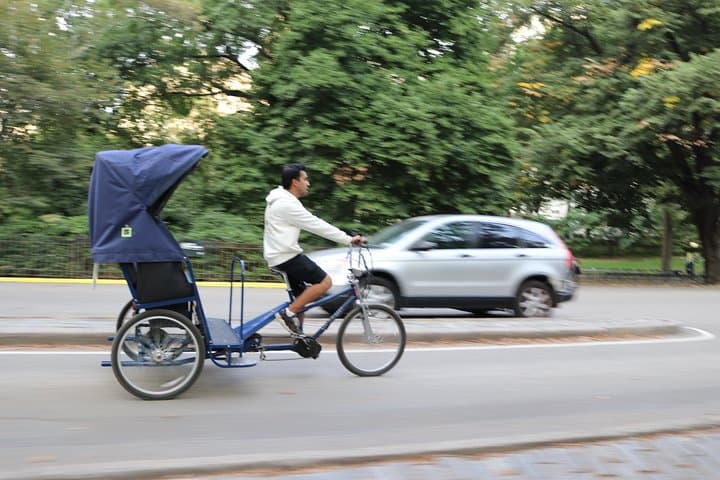 Central Park VIP Pedicab Tour — Private 2.5-Hour All-Park Experience photo 3