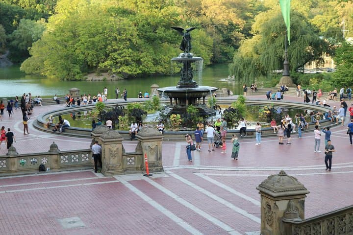 Central Park VIP Pedicab Tour — Private 2.5-Hour All-Park Experience photo 4