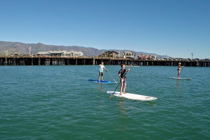 Stand-Up Paddleboard Lesson in Santa Barbara: Calm Harbor SUP Instruction & Seal Encounters photo 3
