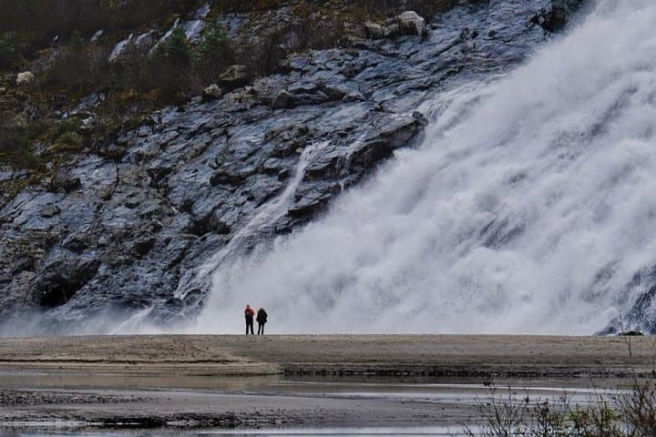 Exploring Mendenhall Glacier: A Convenient Trolley Tour From Juneau's Cruise Dock photo 4