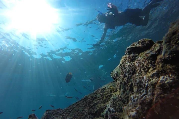 Snorkel the Marietas: Nopalera Beach & Island Wildlife Tour from Puerto Vallarta photo 2