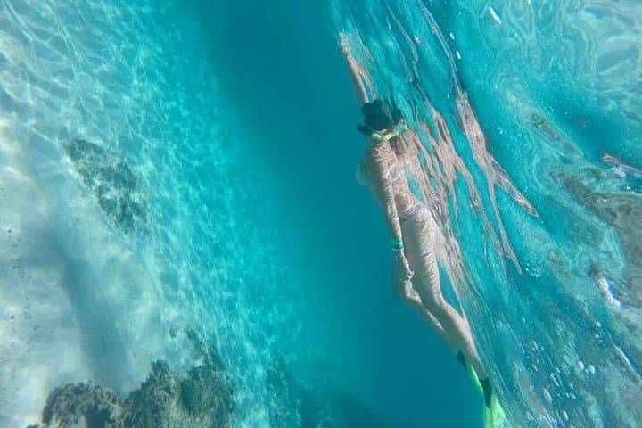 Snorkel the Marietas: Nopalera Beach & Island Wildlife Tour from Puerto Vallarta photo 4