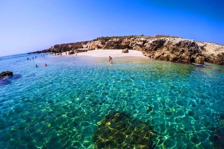 Snorkel the Marietas: Nopalera Beach & Island Wildlife Tour from Puerto Vallarta photo 5