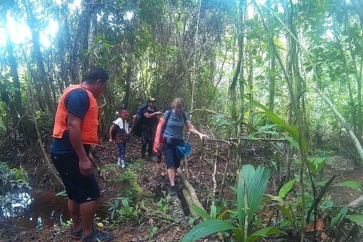 Buda National Park 5-Day Caving and Trekking Adventure from Limbang photo 3