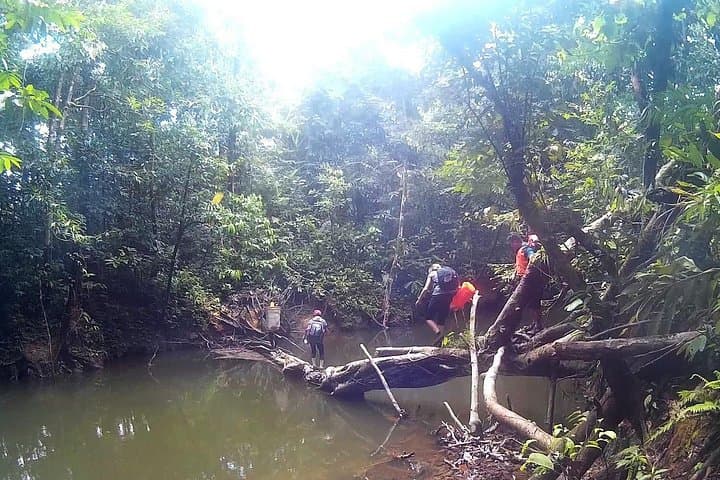 Buda National Park 5-Day Caving and Trekking Adventure from Limbang photo 5