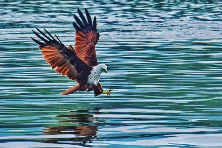 Langkawi Private Day Tour: Mangroves, Waterfalls & Batik with Local Lunch photo 3