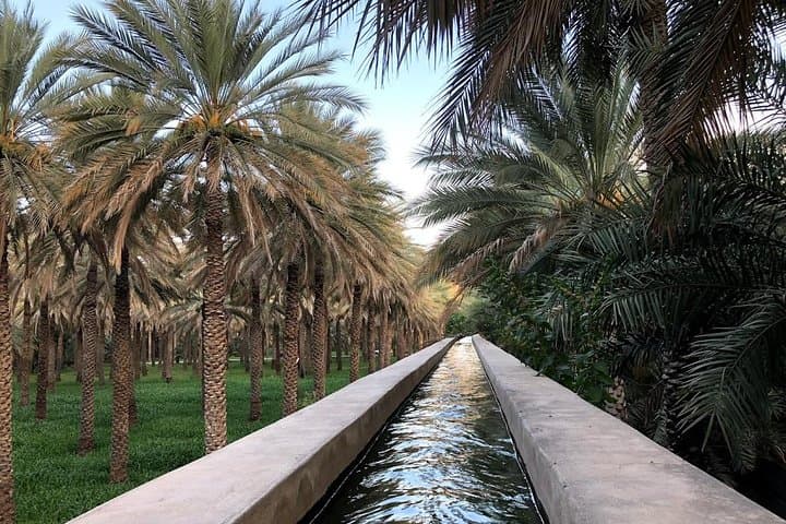Old Nizwa Authentic Walks: Explore Forts, Souqs & Falaj Life