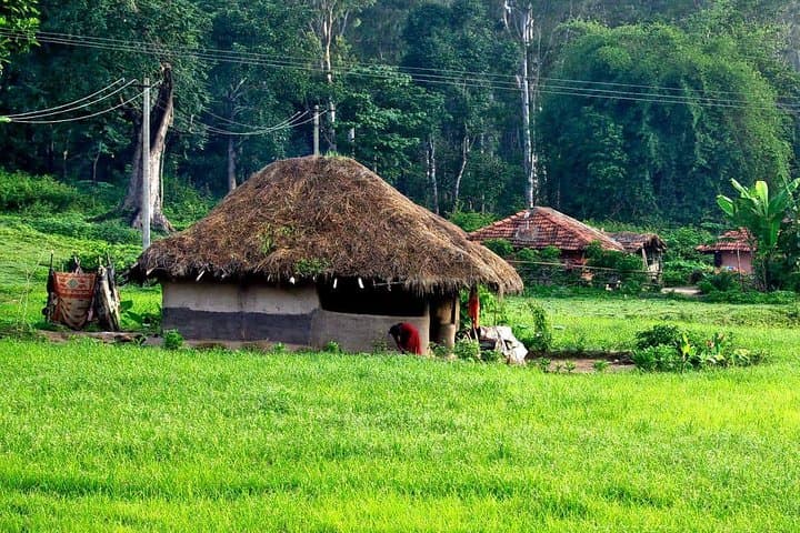 Short Break Kerala: 4-Day Munnar, Thekkady & Alleppey Backwaters Escape photo 2