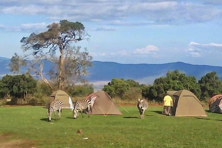 3-Day Budget Safari: Tarangire, Ngorongoro & Lake Manyara from Moshi photo 1