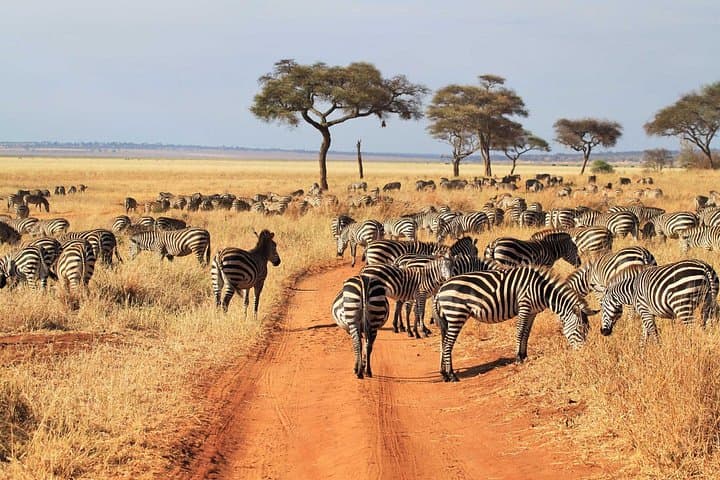 3-Day Budget Safari: Tarangire, Ngorongoro & Lake Manyara from Moshi photo 2