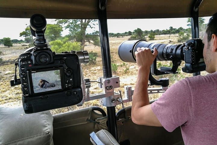 10-Day Wildlife Photographic Safari in Kruger National Park | B1 Photo Safaris