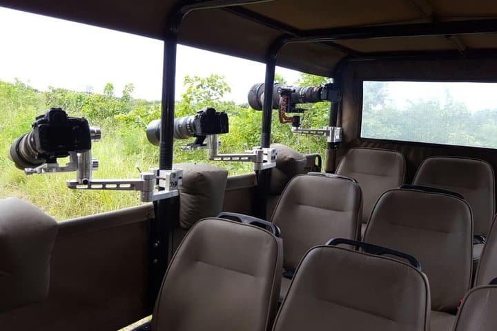 10-Day Wildlife Photographic Safari in Kruger National Park | B1 Photo Safaris photo 4