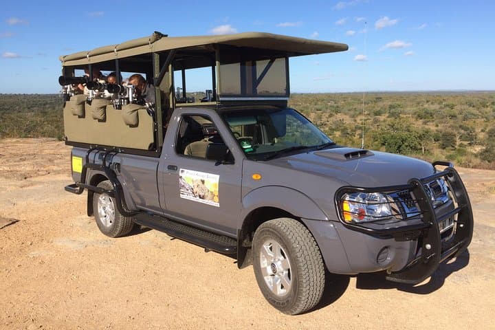 10-Day Wildlife Photographic Safari in Kruger National Park | B1 Photo Safaris photo 6