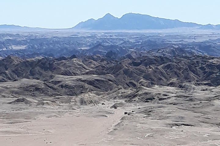 Welwitschia, Goanikontes & the Moonlandscape: Swakopmund Desert Drive photo 3