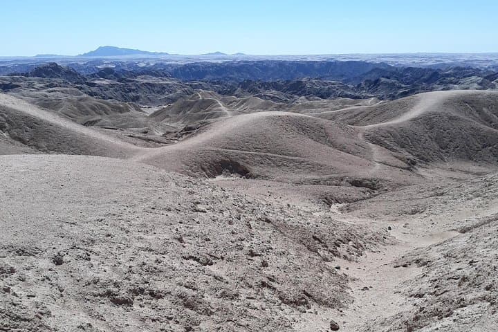 Welwitschia, Goanikontes & the Moonlandscape: Swakopmund Desert Drive photo 4