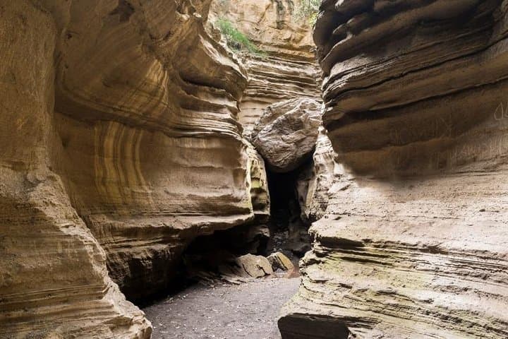 Crater Rim Hike and Rift Valley Wildlife: Overnight Mount Longonot & Hells Gate from Nairobi photo 5