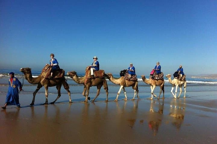 Agadir Sunset Camel Ride & Moroccan Couscous Barbecue at Oued Souss Estuary