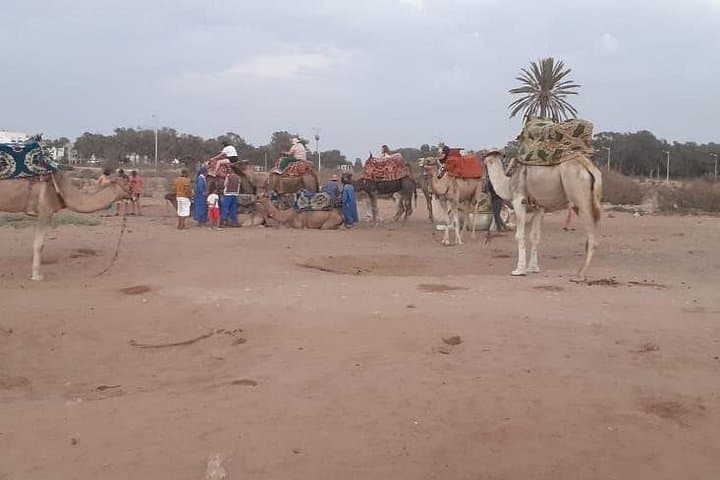 Agadir Sunset Camel Ride & Moroccan Couscous Barbecue at Oued Souss Estuary photo 3