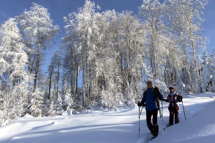 Snowshoeing Vitosha: Full-Day Winter Loop from Sofia photo 4