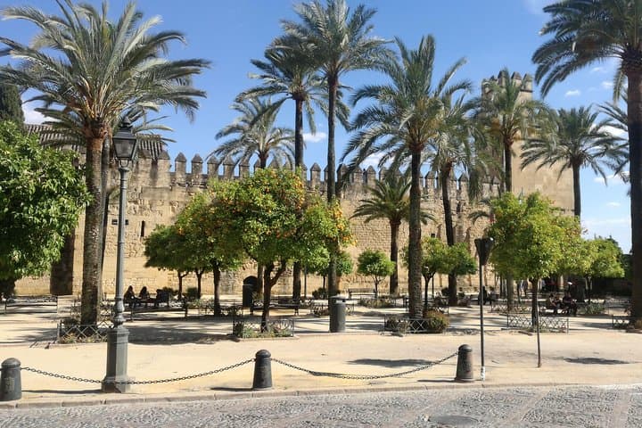 Private Walking Tour of Córdoba: Mosque-Cathedral, Jewish Quarter & Alcázar photo 2