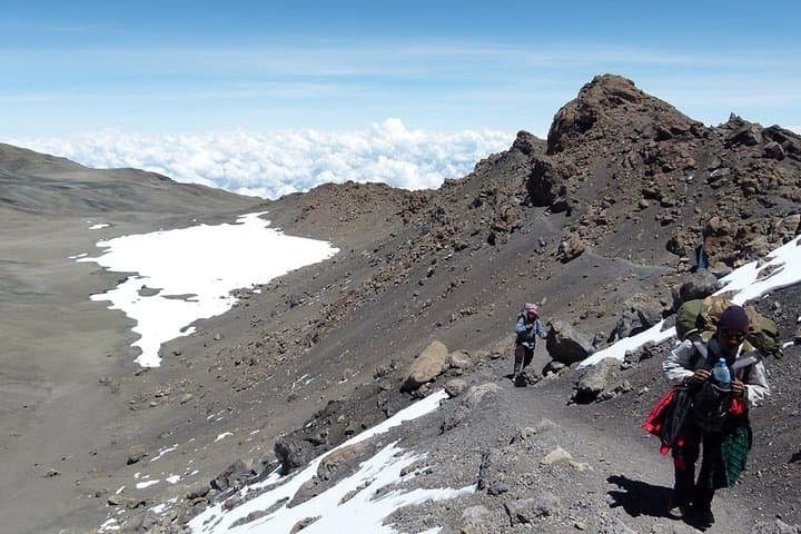 1-Day Kilimanjaro Hike: Machame Route Day Trip from Moshi photo 6