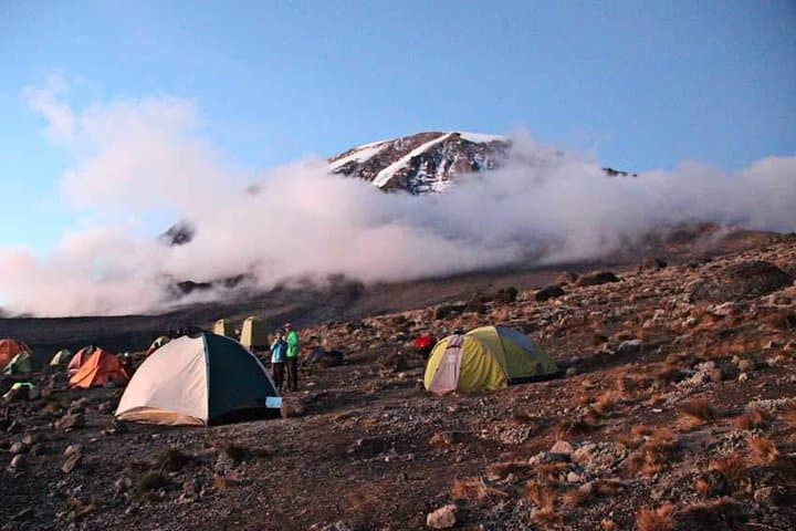 1-Day Kilimanjaro Hike: Machame Route Day Trip from Moshi photo 5