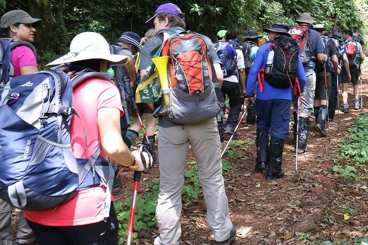 1-Day Kilimanjaro Hike: Machame Route Day Trip from Moshi