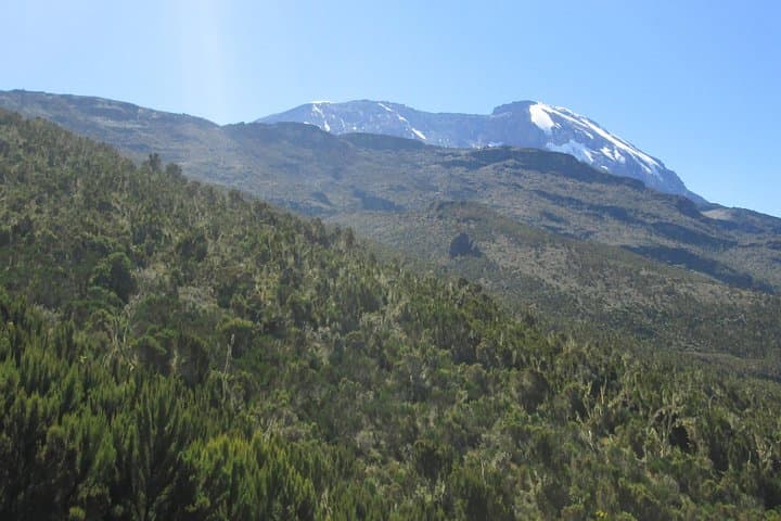 1-Day Kilimanjaro Hike: Machame Route Day Trip from Moshi photo 3