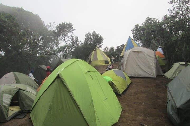 1-Day Kilimanjaro Hike: Machame Route Day Trip from Moshi photo 4