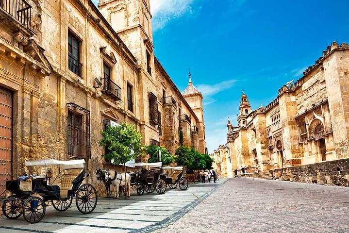 Private Walking Tour of Córdoba: Mosque-Cathedral, Jewish Quarter & Alcázar photo 3