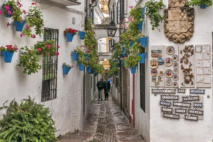 Private Walking Tour of Córdoba: Mosque-Cathedral, Jewish Quarter & Alcázar photo 4