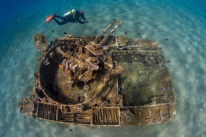 discover-scuba-diving-in-aqaba-introductory-padi-dive-for-ages-10-plus photo 3