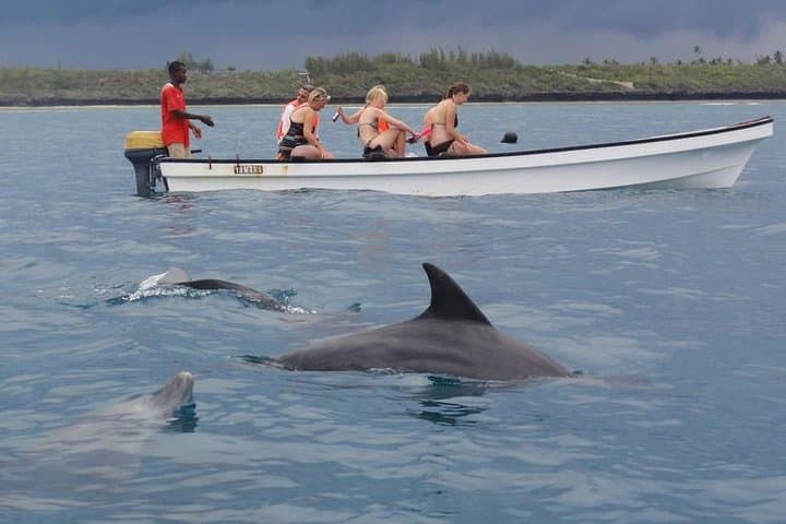 Kizimkazi Dolphin Encounter: Zanzibar Boat Tour and Swim photo 1