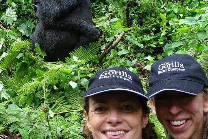 Gorillas & Golden Monkeys: 3-Day Volcanoes National Park Trek from Kigali photo 2