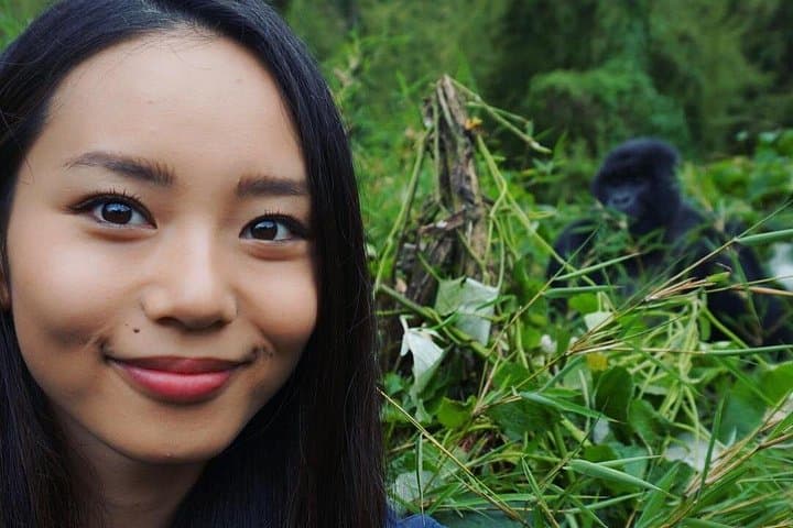 Gorillas & Golden Monkeys: 3-Day Volcanoes National Park Trek from Kigali photo 3