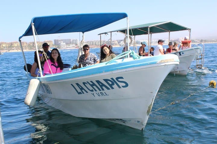 Land's End & Glass-Bottom Snorkel Tour — Pelican's Rock and Lover's Beach, Cabo San Lucas photo 6