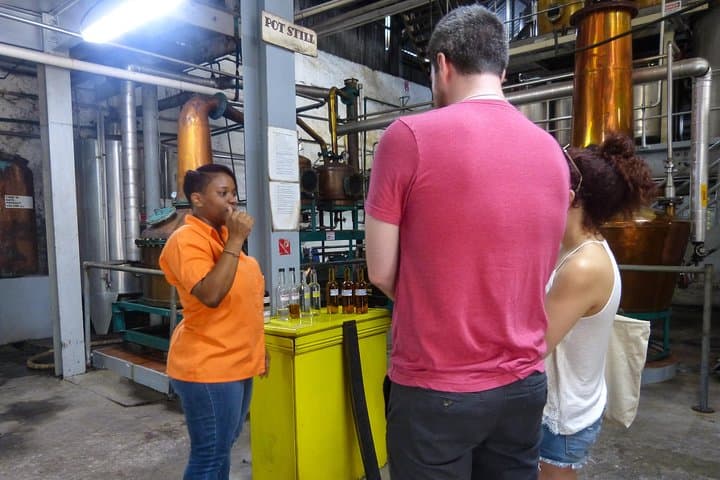 Behind the Barrels: St Lucia Rum Tasting & Distillery Tour from Castries photo 5