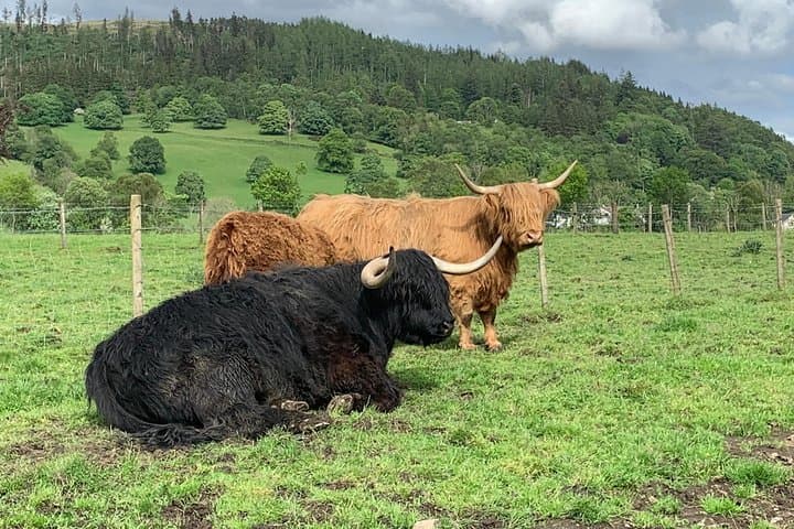 Glencoe & Rob Roy Private Driving Tour from Edinburgh — Highlands Views and Whisky photo 5