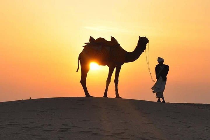 Dubai Morning Desert Safari: Sunrise Dune Bashing & Camel Farm photo 2