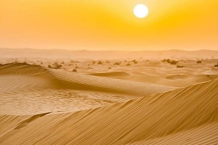 Dubai Morning Desert Safari: Sunrise Dune Bashing & Camel Farm photo 4