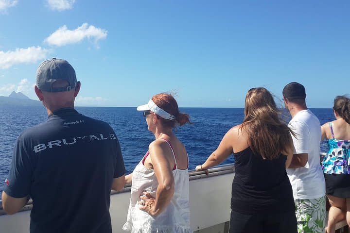 St. Lucia Whale Watching & Dolphin Spotting Cruise from North Island photo 3