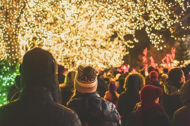 Dallas Christmas Lights Tour: Highland Park Holiday Minibus Experience photo 3