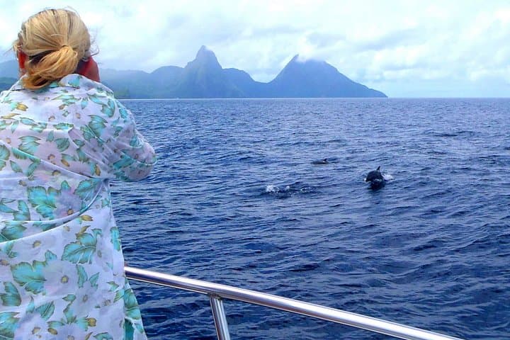 St. Lucia Whale Watching & Dolphin Spotting Cruise from North Island photo 1